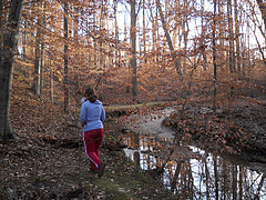 DSCN1346 DSCN1346