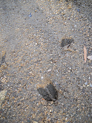 DSCN1307 DSCN1307