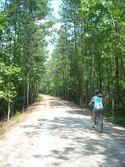 DSCN0110 DSCN0110