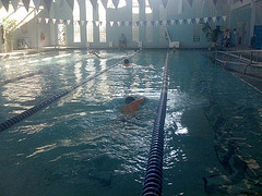 I did 24 lengths in the swim, Scott, in the next lane over, did 44. The average was 30.